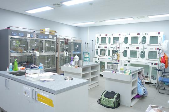 ICU(집중치료실) 및 입원실